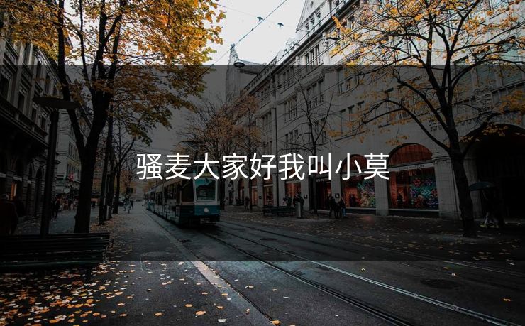 骚麦大家好我叫小莫