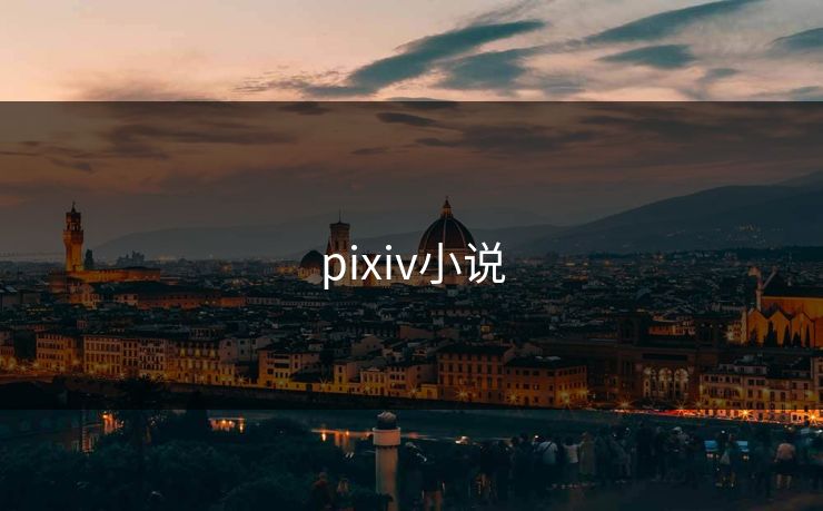 pixiv小说