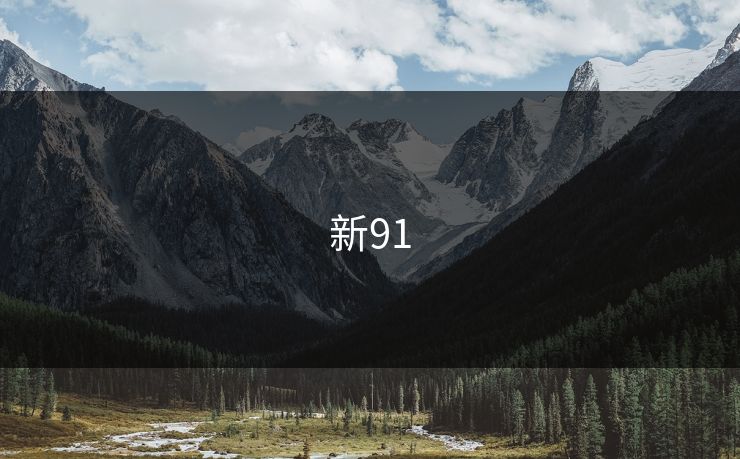 新91